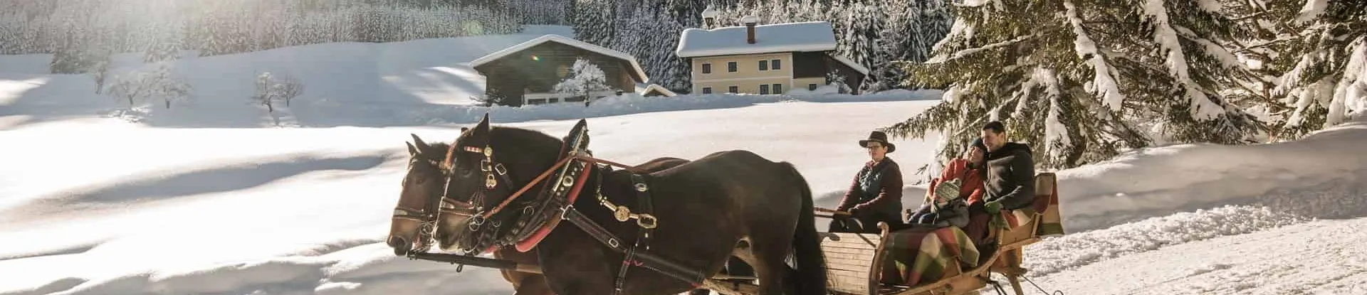 Pferdeschlitten in der wildkogel arena 1920x0 sp