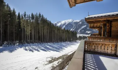 NK Vorderkopf 601 balkon